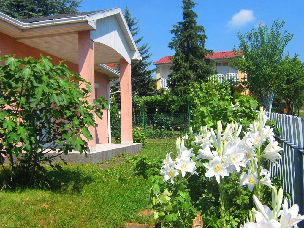 Feszek Apartmanhaz Vonyarcvashegy Εξωτερικό φωτογραφία