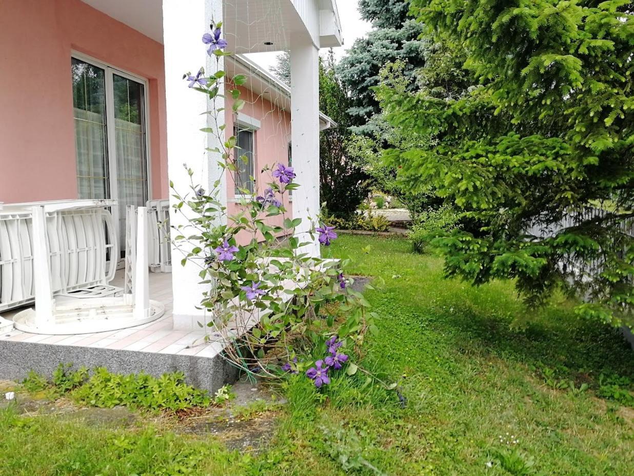 Feszek Apartmanhaz Vonyarcvashegy Εξωτερικό φωτογραφία