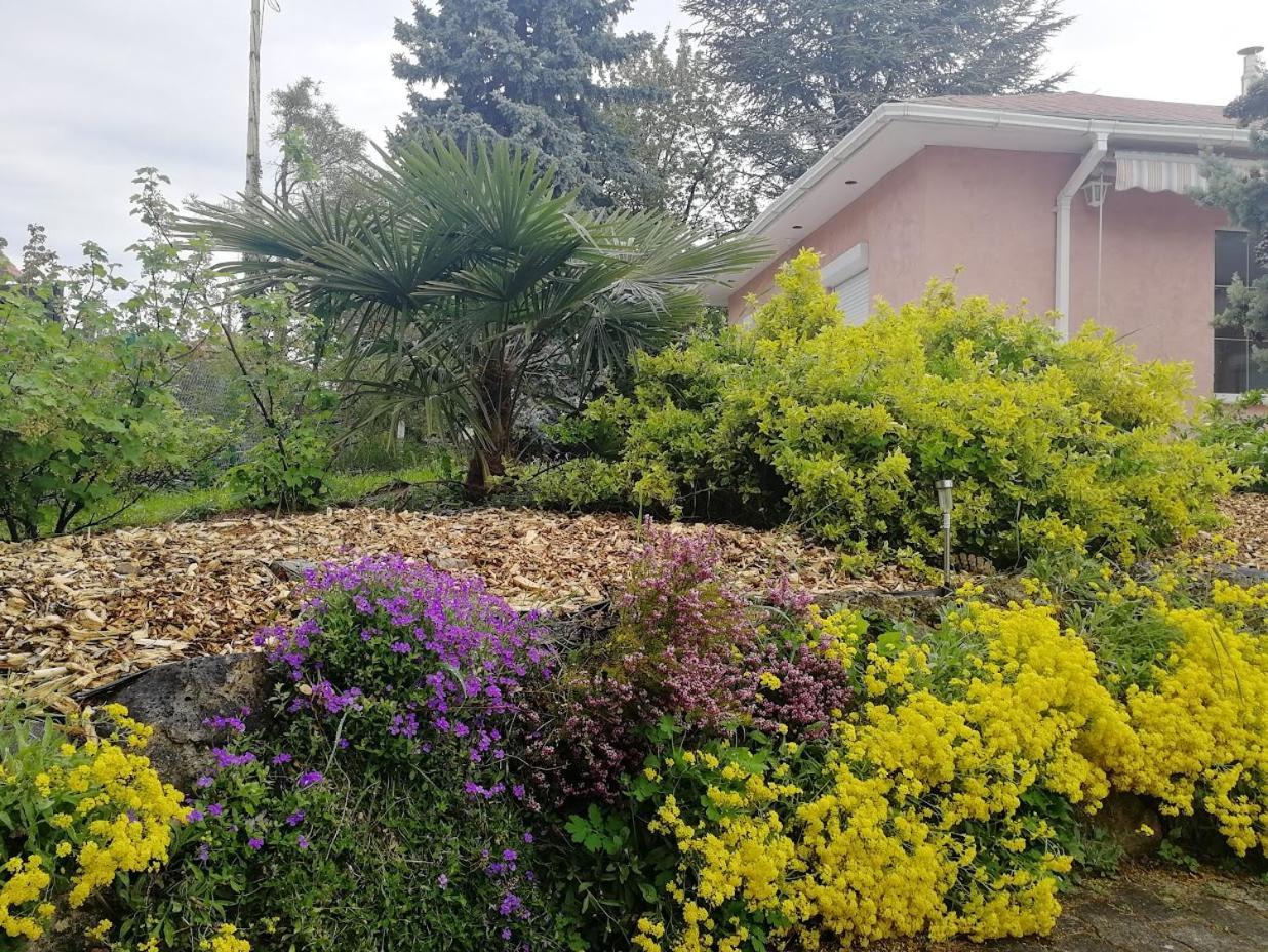 Feszek Apartmanhaz Vonyarcvashegy Εξωτερικό φωτογραφία