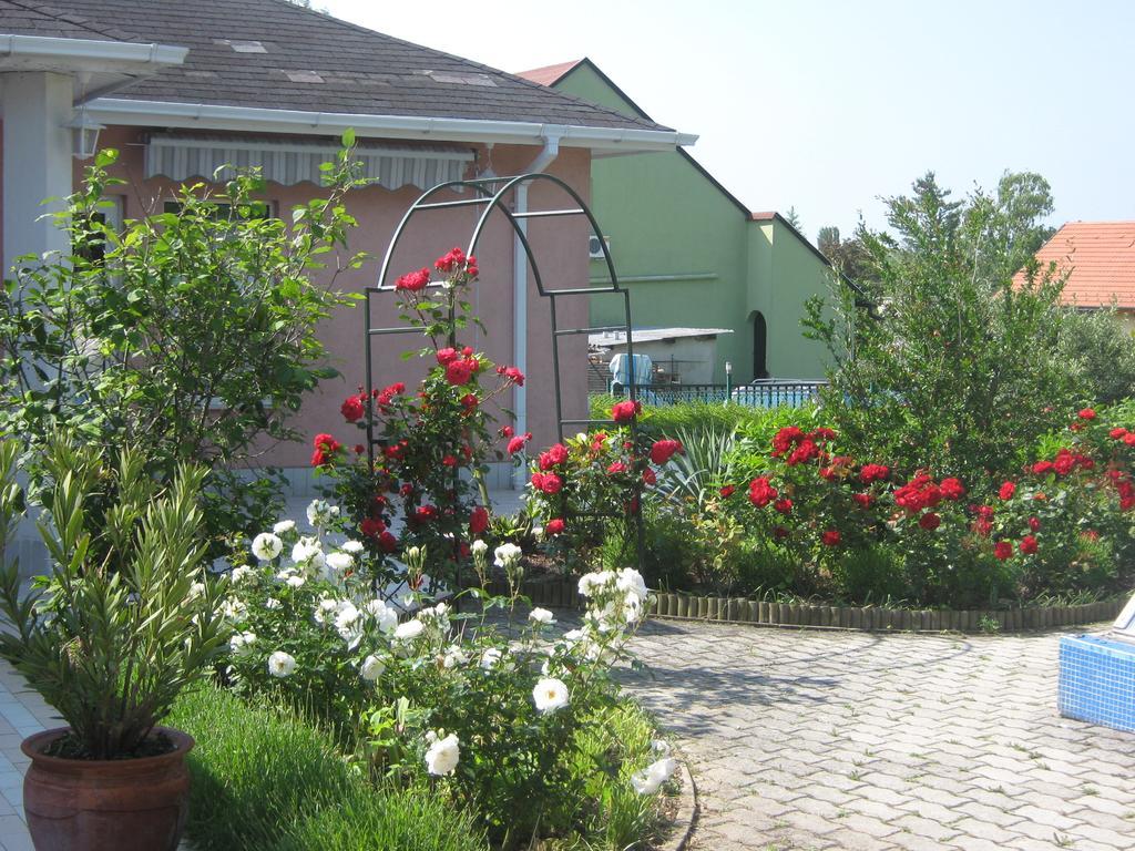 Feszek Apartmanhaz Vonyarcvashegy Εξωτερικό φωτογραφία
